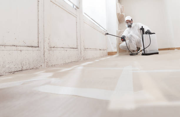 24/7 Emergency Mold Removal experts in Spotswood, NJ